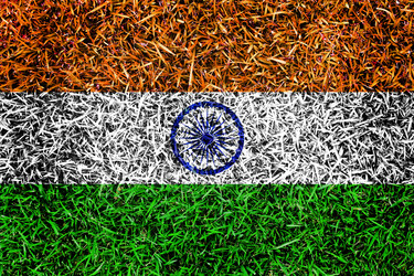 Similar image 6441256