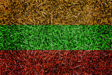 Similar image 6441258