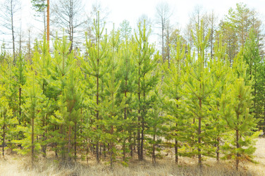 Similar image 6441259