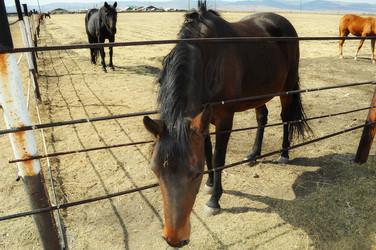 Similar image 6441260