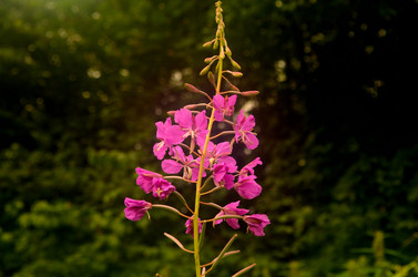 Similar image 6441281