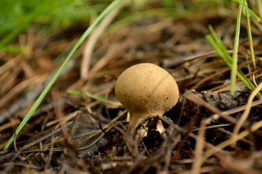 Similar image 6441283