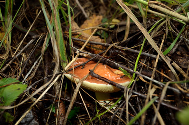 Similar image 6441285