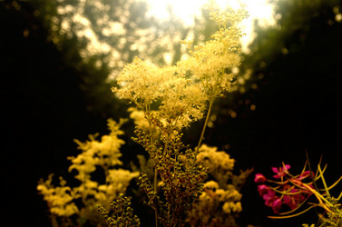 Similar image 6441288