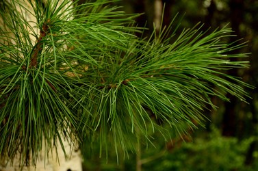 Similar image 6441292