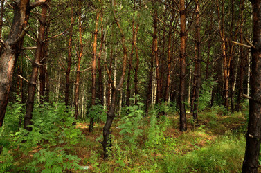 Similar image 6441297