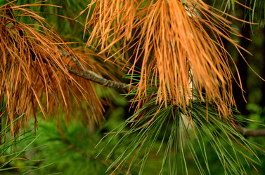 Similar image 6441299