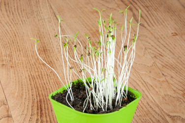 Similar image 6441412