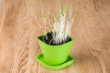 Similar image 6441413