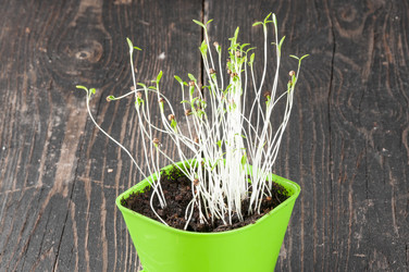 Similar image 6441445