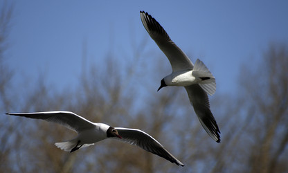 Similar image 6441544