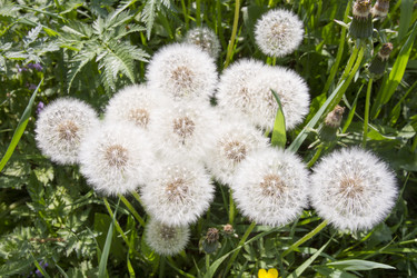 Similar image 6441629