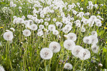 Similar image 6441631