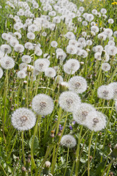 Similar image 6441632