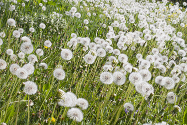 Similar image 6441634