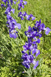 Similar image 6441648