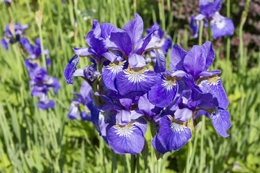 Similar image 6441649