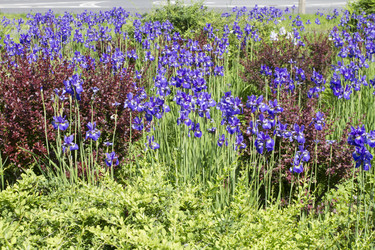 Similar image 6441650