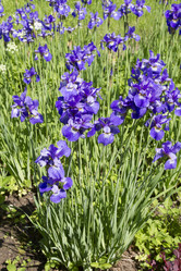 Similar image 6441652