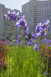 Similar image 6441653