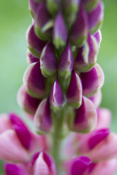 Similar image 6441654