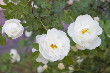 Similar image 6441656