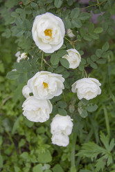 Similar image 6441662