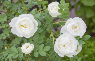 Similar image 6441663