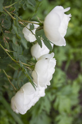 Similar image 6441665