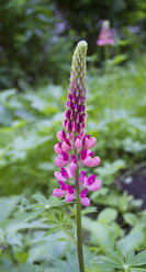 Similar image 6441668