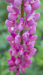 Similar image 6441672