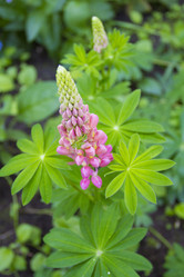 Similar image 6441673