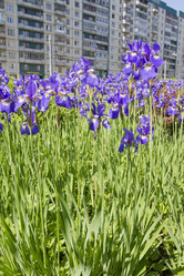 Similar image 6441676