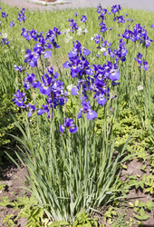 Similar image 6441677