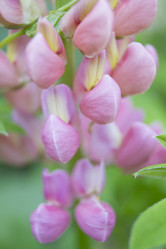 Similar image 6441679