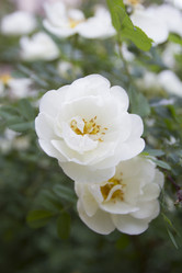 Similar image 6441681