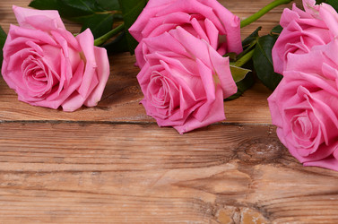 Similar image 6441695