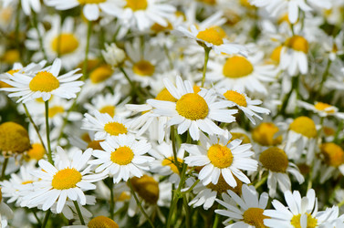 Similar image 6441698