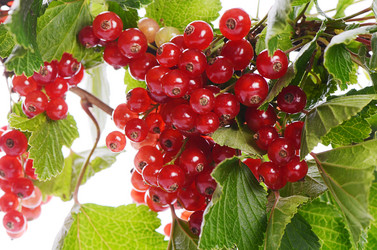 Similar image 6441724