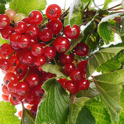 Similar image 6441725