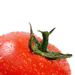 Similar image 6441727