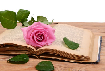 Similar image 6441735