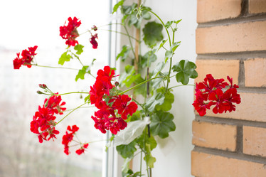 Similar image 6441748