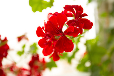 Similar image 6441767