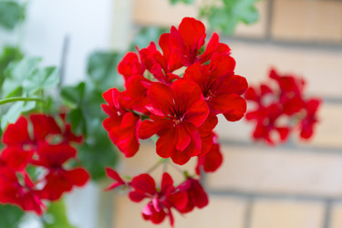 Similar image 6441778