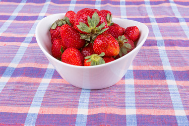 Similar image 6441894