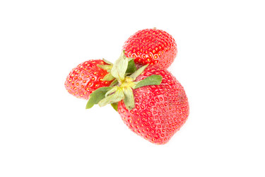 Similar image 6441920