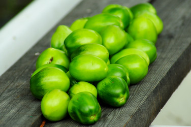 Similar image 6441950