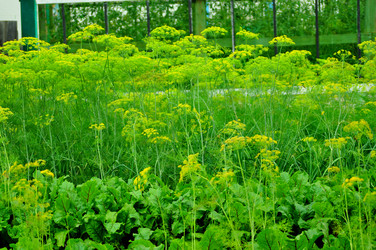 Similar image 6441951