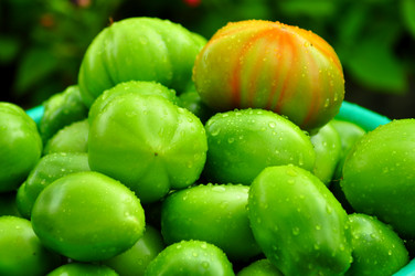 Similar image 6441952